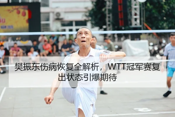 樊振东伤病恢复全解析，WTT冠军赛复出状态引爆期待