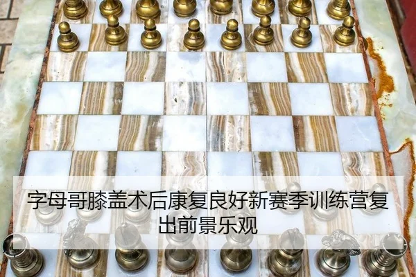 字母哥膝盖术后康复良好新赛季训练营复出前景乐观