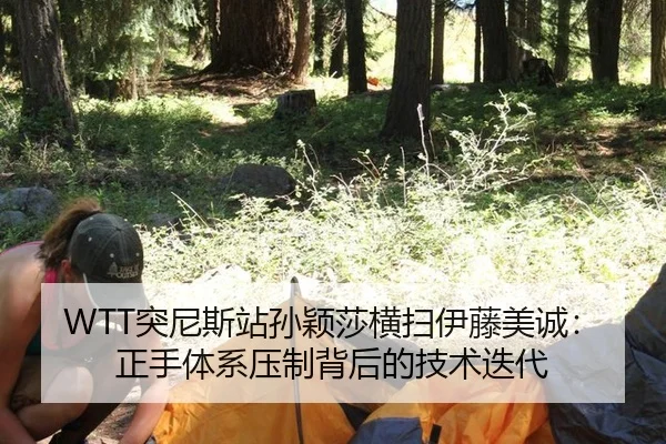 tu-ni-si-zhan-sun-ying-sha-heng-sao-yi-teng-mei-cheng-zheng-shou-ti-xi-ya-zhi-bei-hou-de-ji-shu-die-dai-2-600.jpg